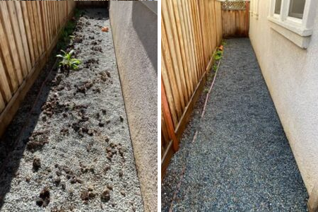 Vroom Scoop - Photo 3