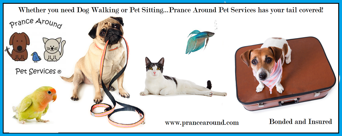 Prance Around Pet Services - Photo 4