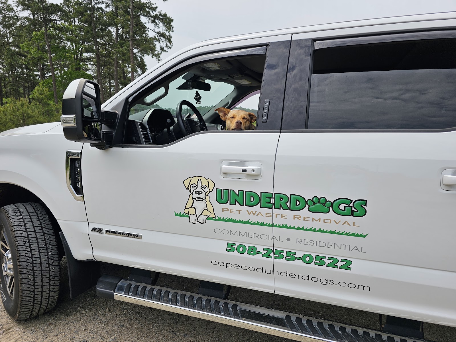 Cape Cod Underdogs Pet Waste Removal Service - Photo 2