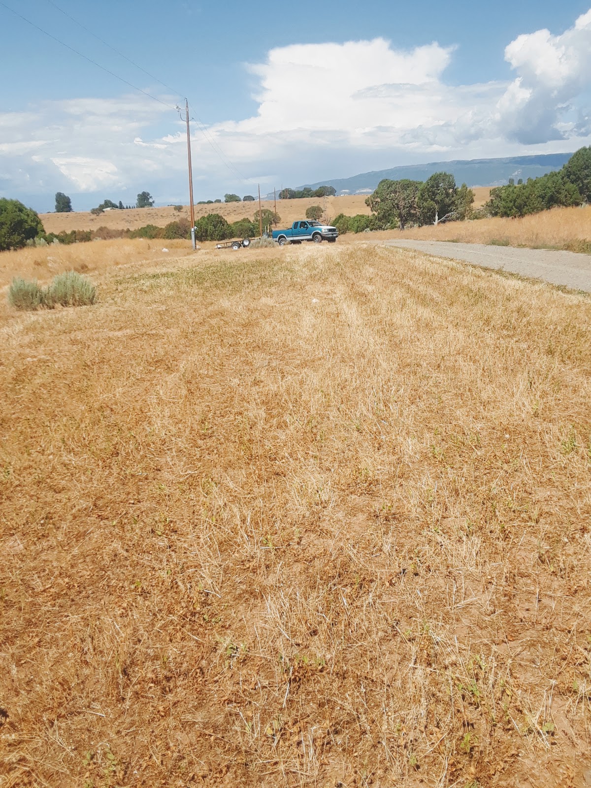 Premier lawn maintenance and pet waste removal llc - Photo 2