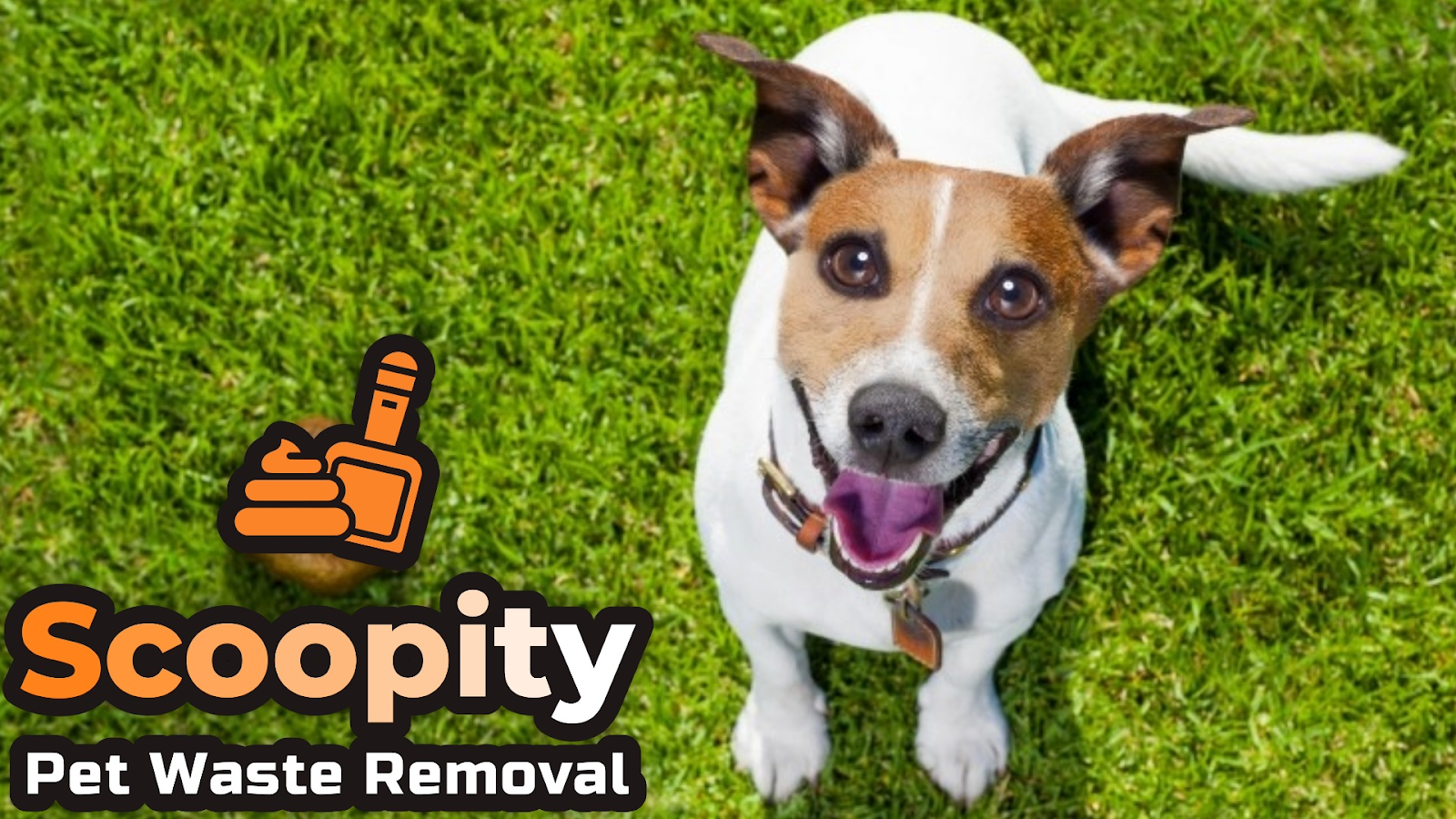 Scoopity Pooper Scooper Service