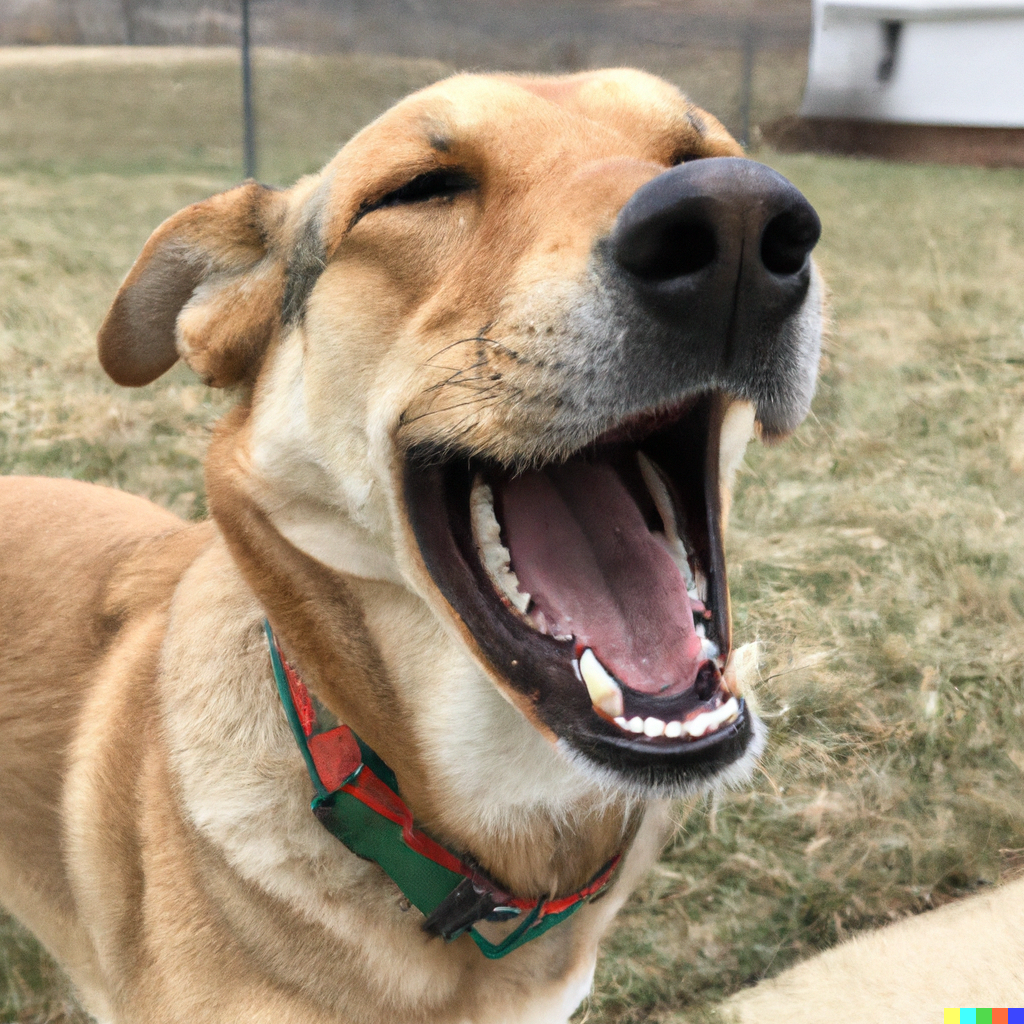 Scoopity Pooper Scooper Service - Photo 3