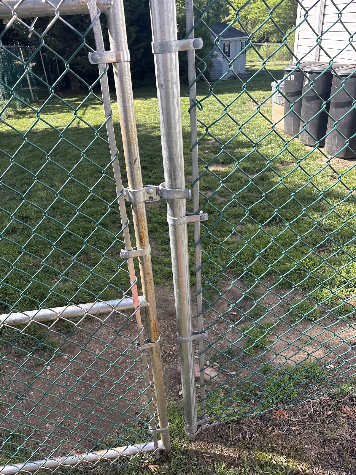 Pain In The Grass, Pet Waste Removal - Photo 4