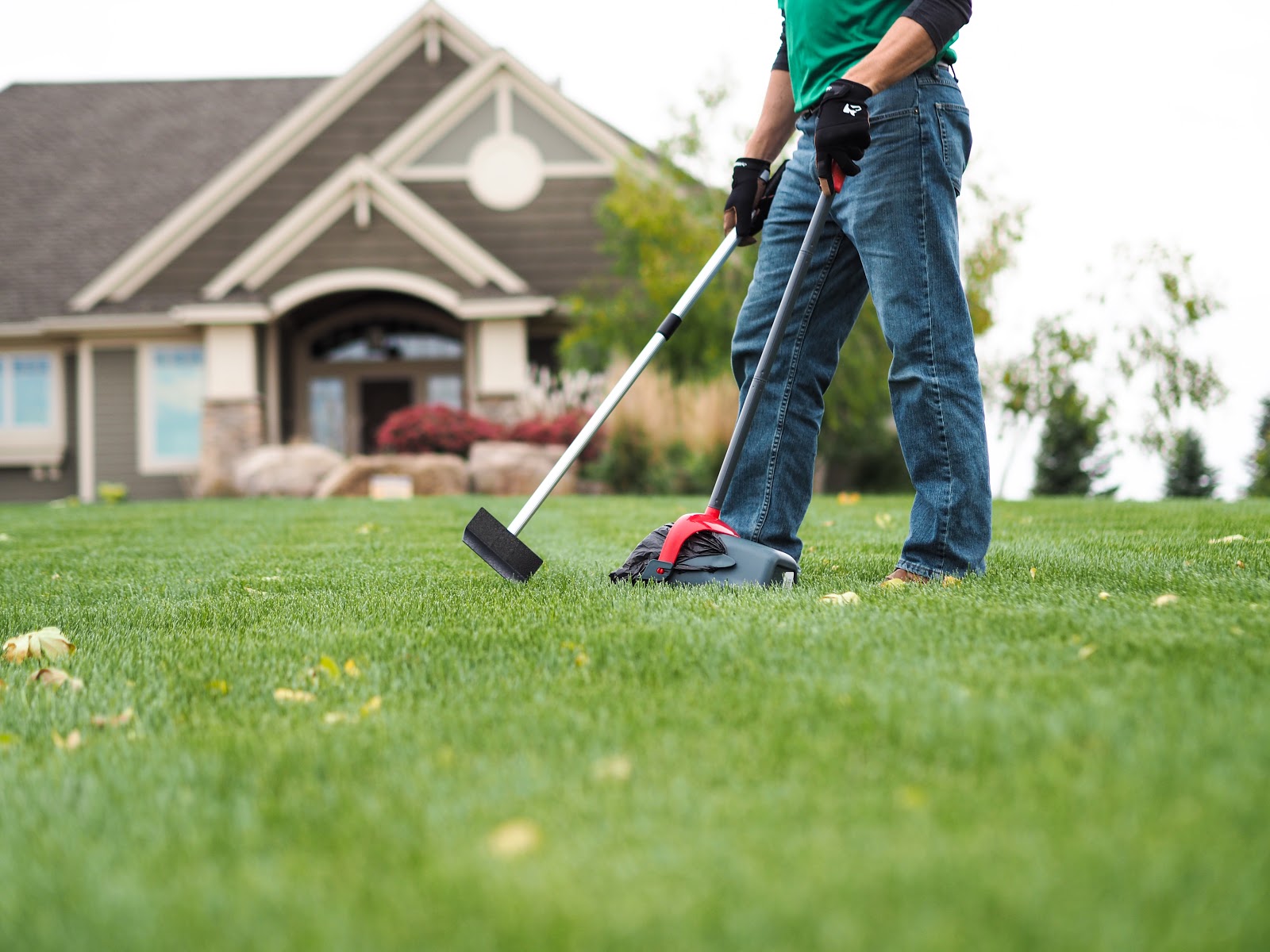 Dr Poolittle - Photo 3
