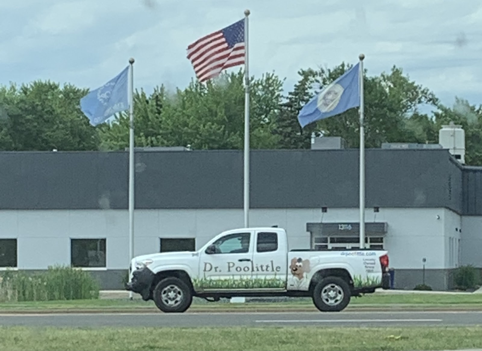 Dr Poolittle - Photo 4