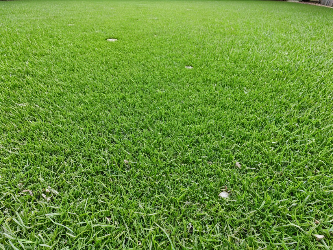 We Do Poop - Photo 2