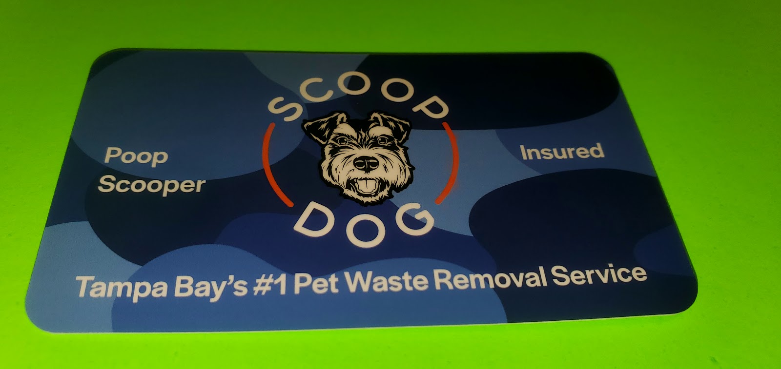 Scoop Dog Poop Scoop Service - Photo 4