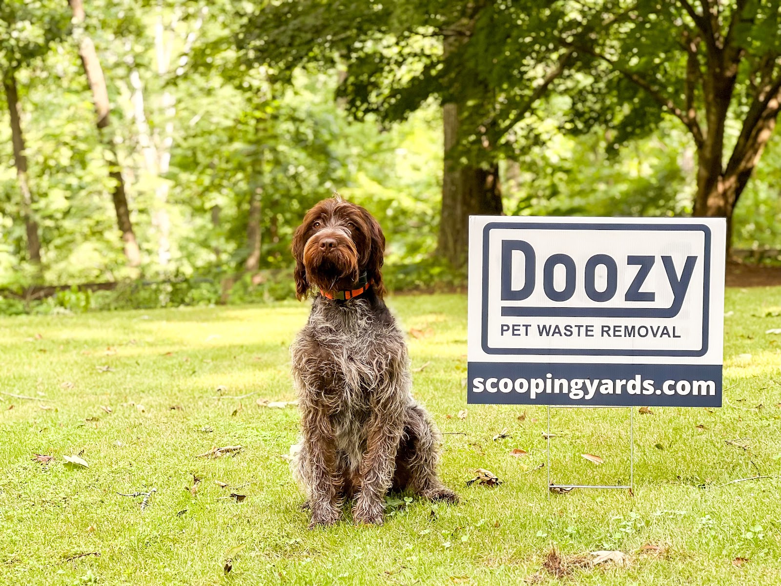 Doozy Pet Waste Removal