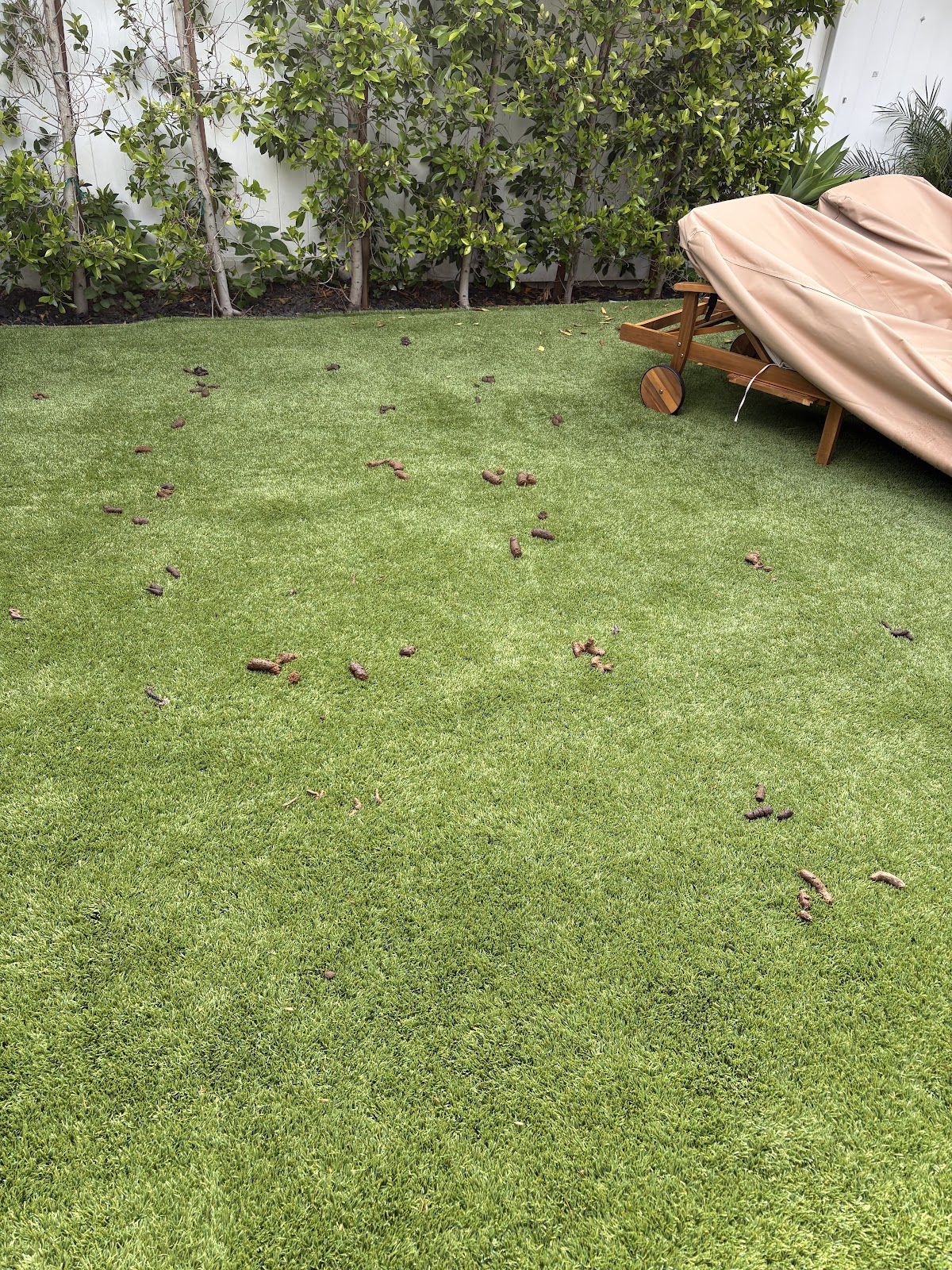 Scoop and Bucket - Photo 2