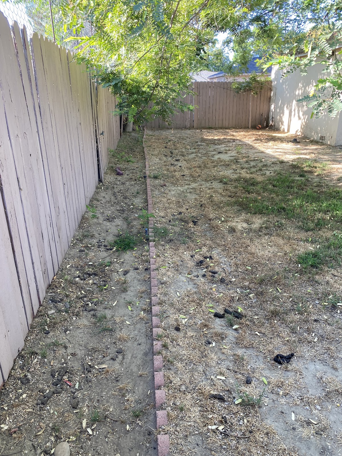 Scoop and Bucket - Photo 3