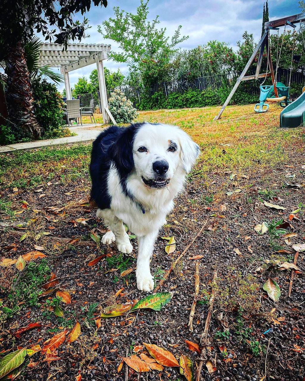 Poop2Fresh - Photo 2