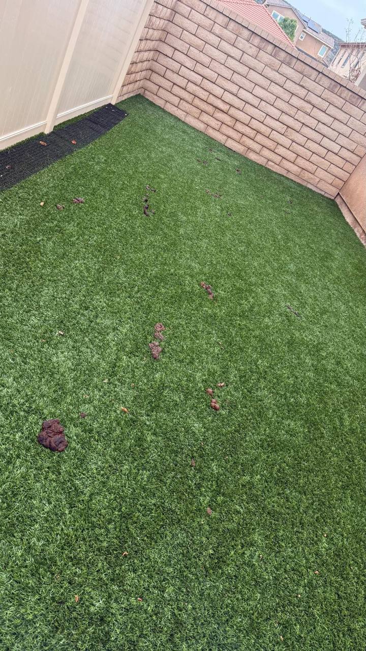 Poop2Fresh - Photo 4