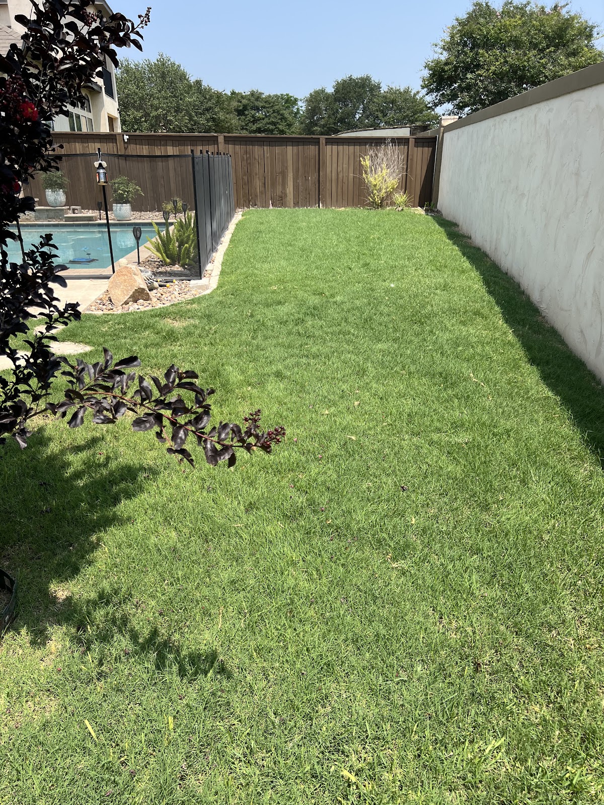 Mitzi's Scoop Crew - Pet Waste Removal & Poop Scoop Service