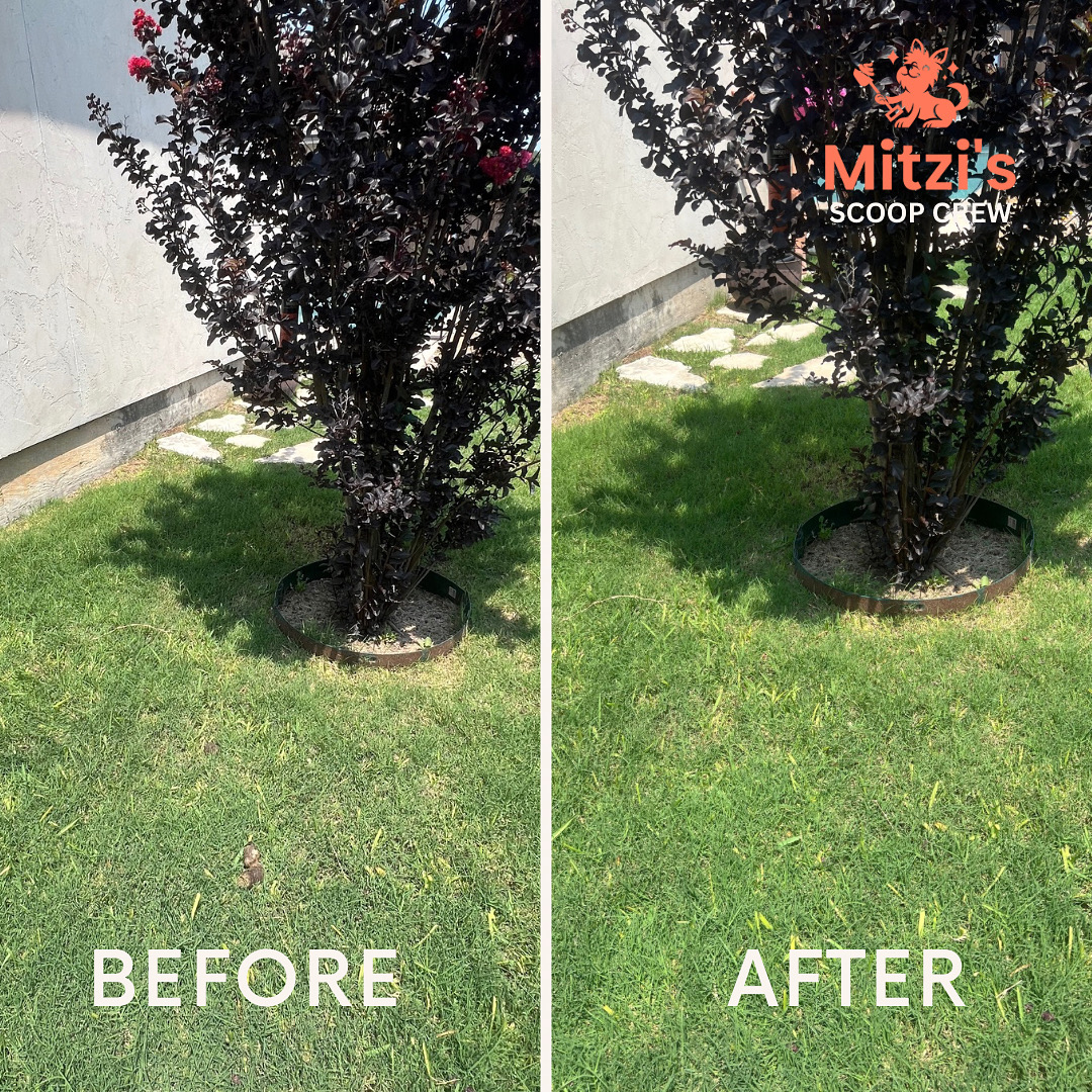 Mitzi's Scoop Crew - Pet Waste Removal & Poop Scoop Service - Photo 2