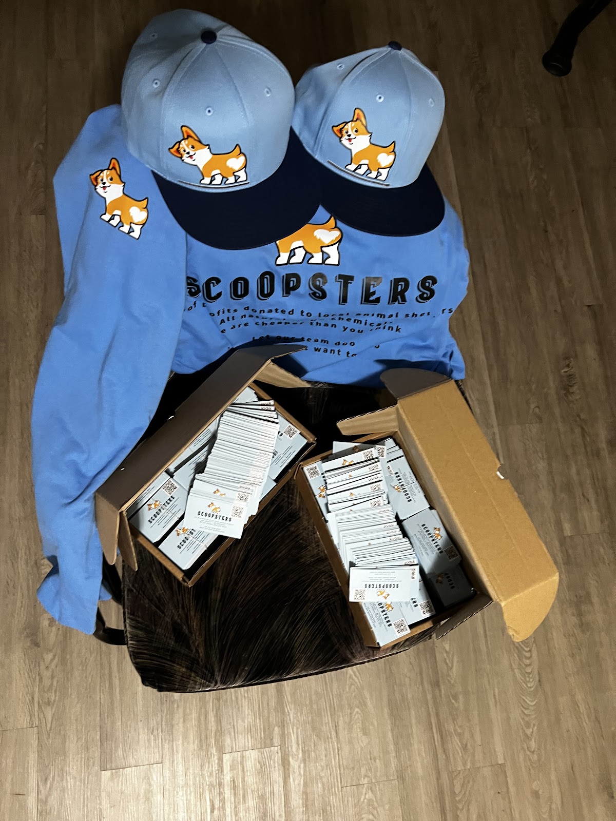 Scoopsters - Photo 3