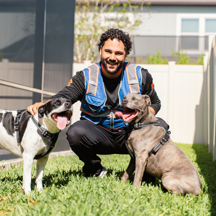 Pristine Paws - Dog Waste Removal - Photo 2