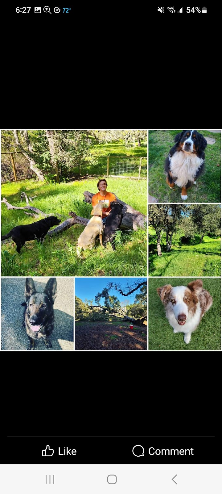 Hill Country Poop Patrol - Photo 3