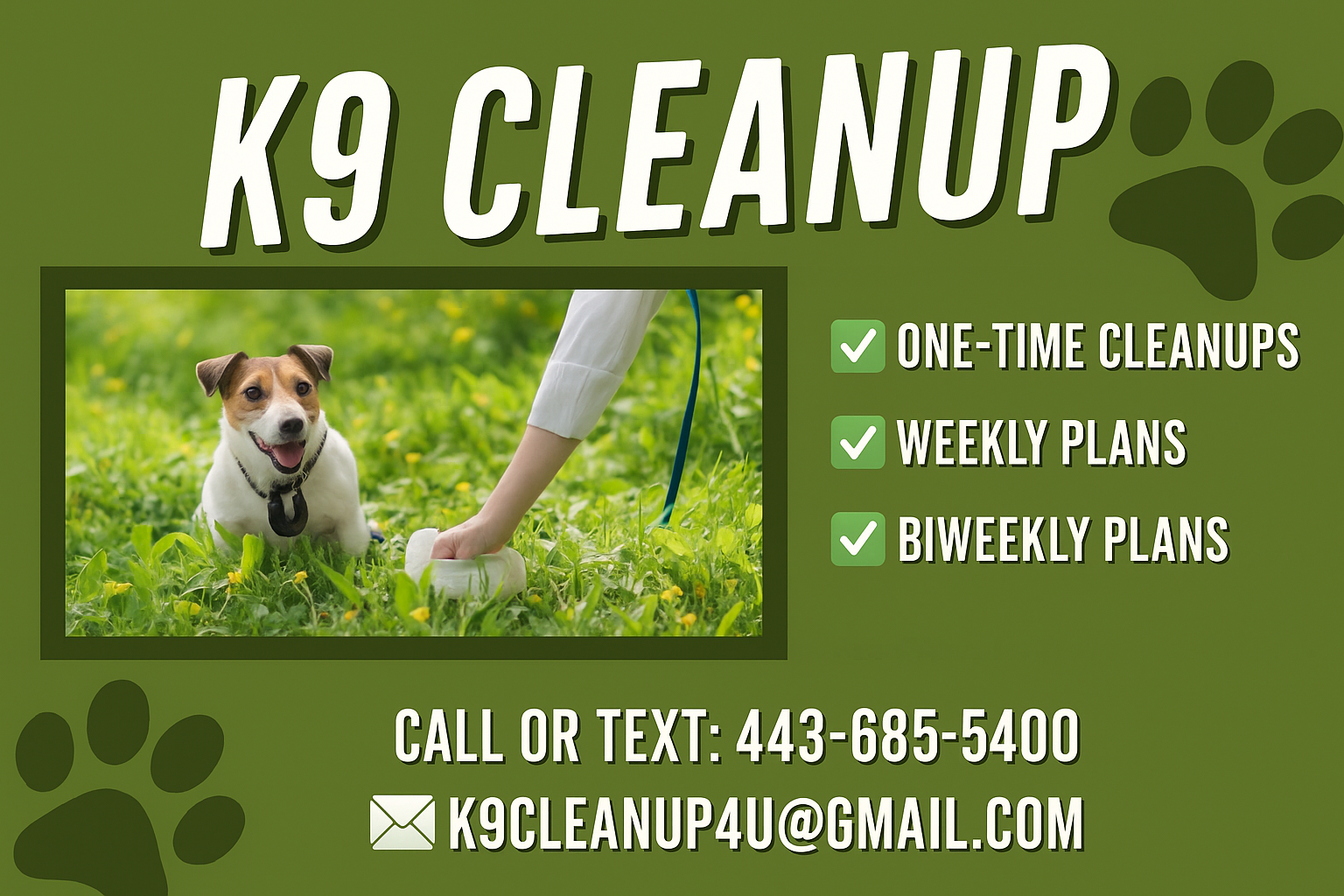 K9 Cleanup