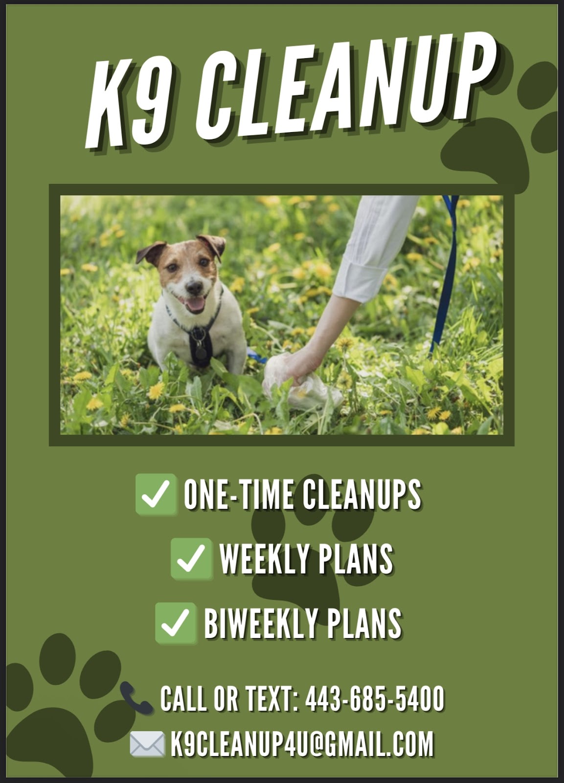 K9 Cleanup - Photo 3