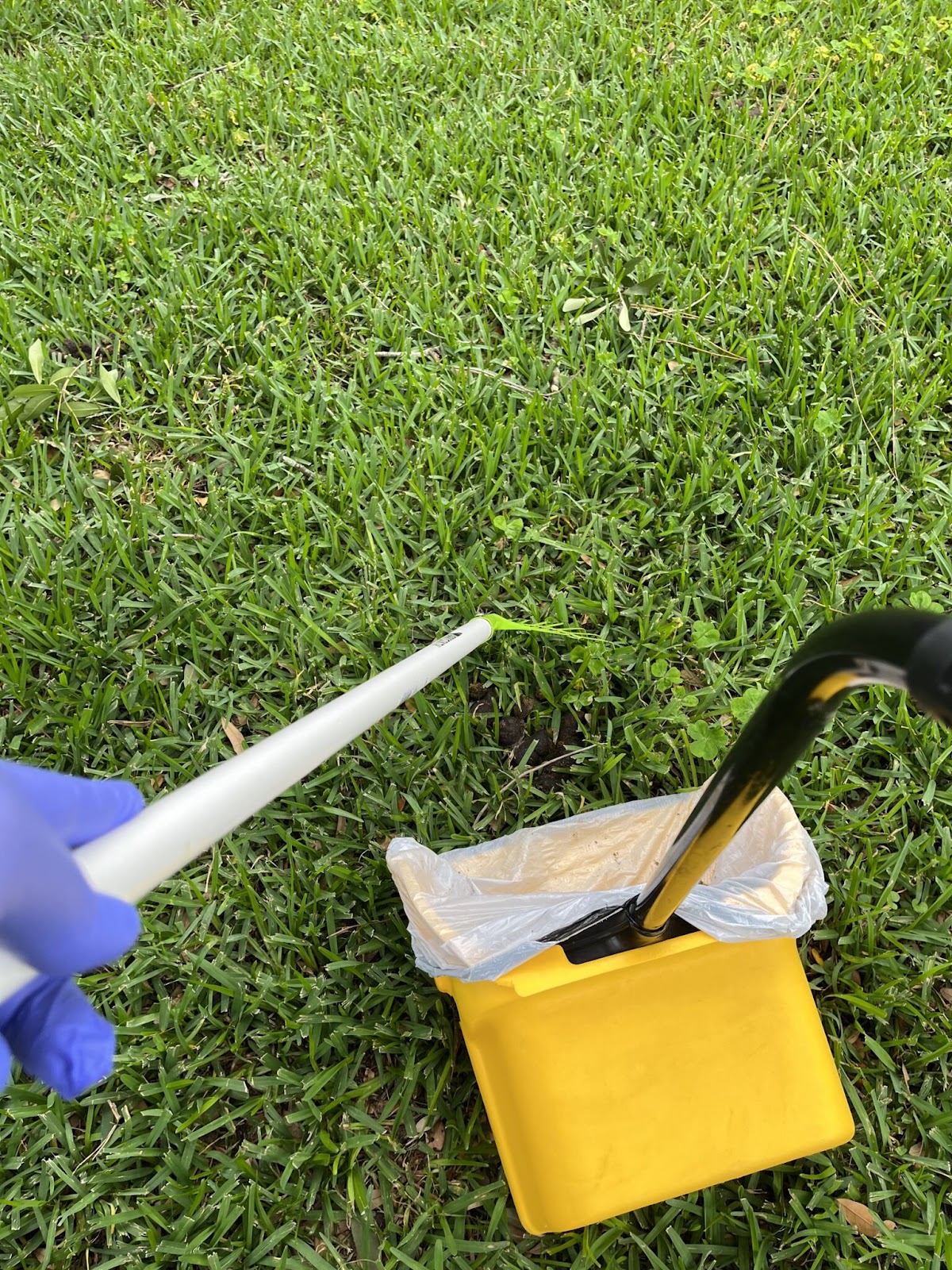 K9 Green Space, LLC. - Photo 2