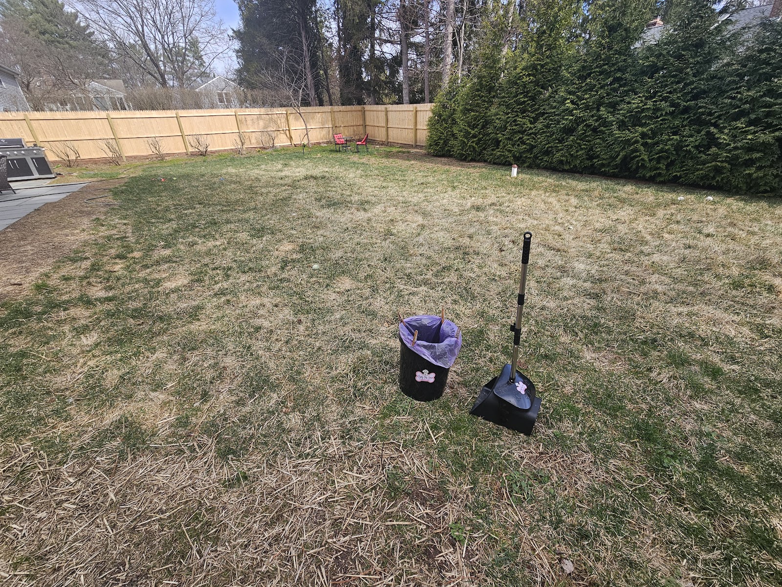 Curly Poo Crew - Photo 3