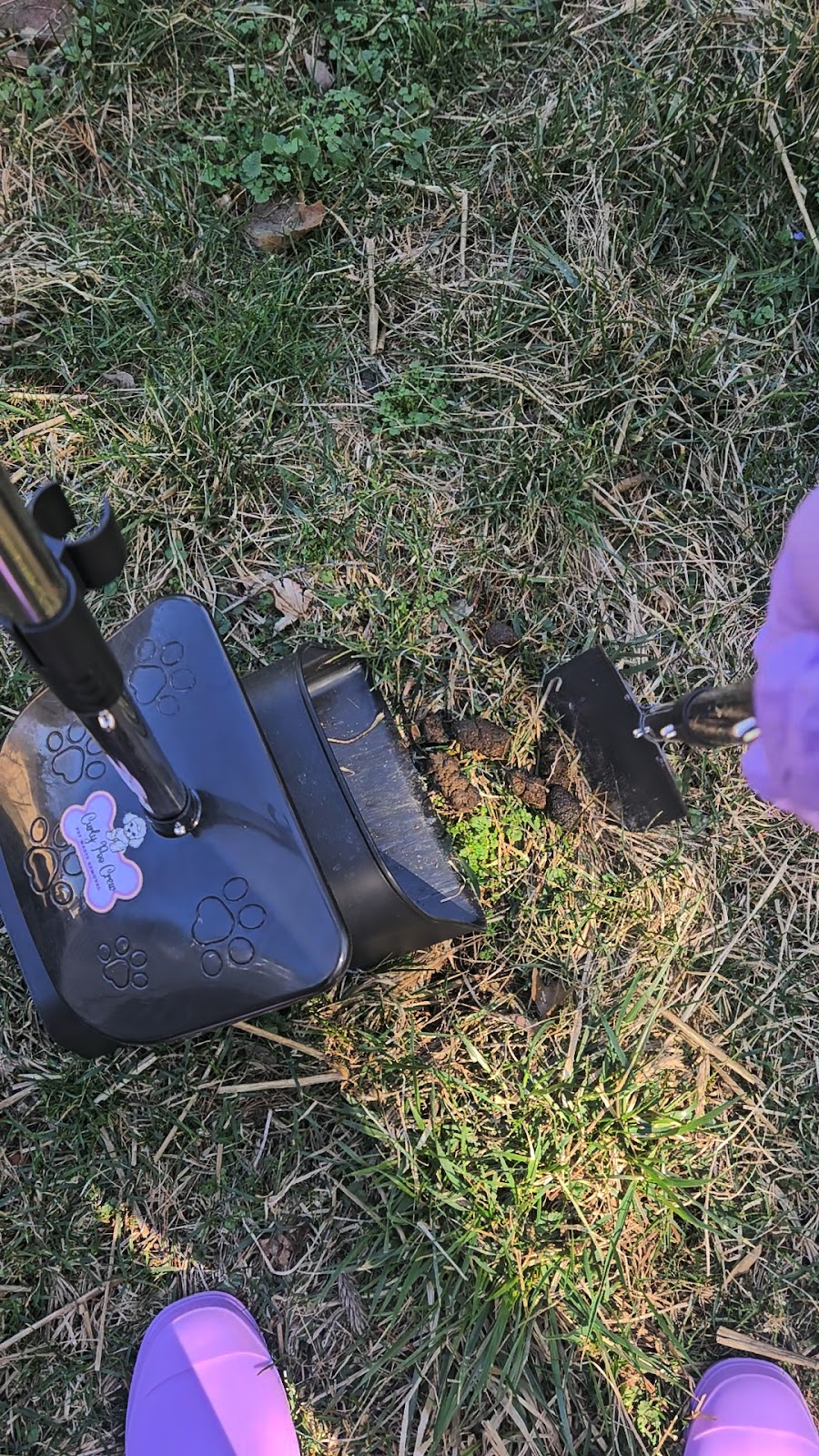 Curly Poo Crew - Photo 4