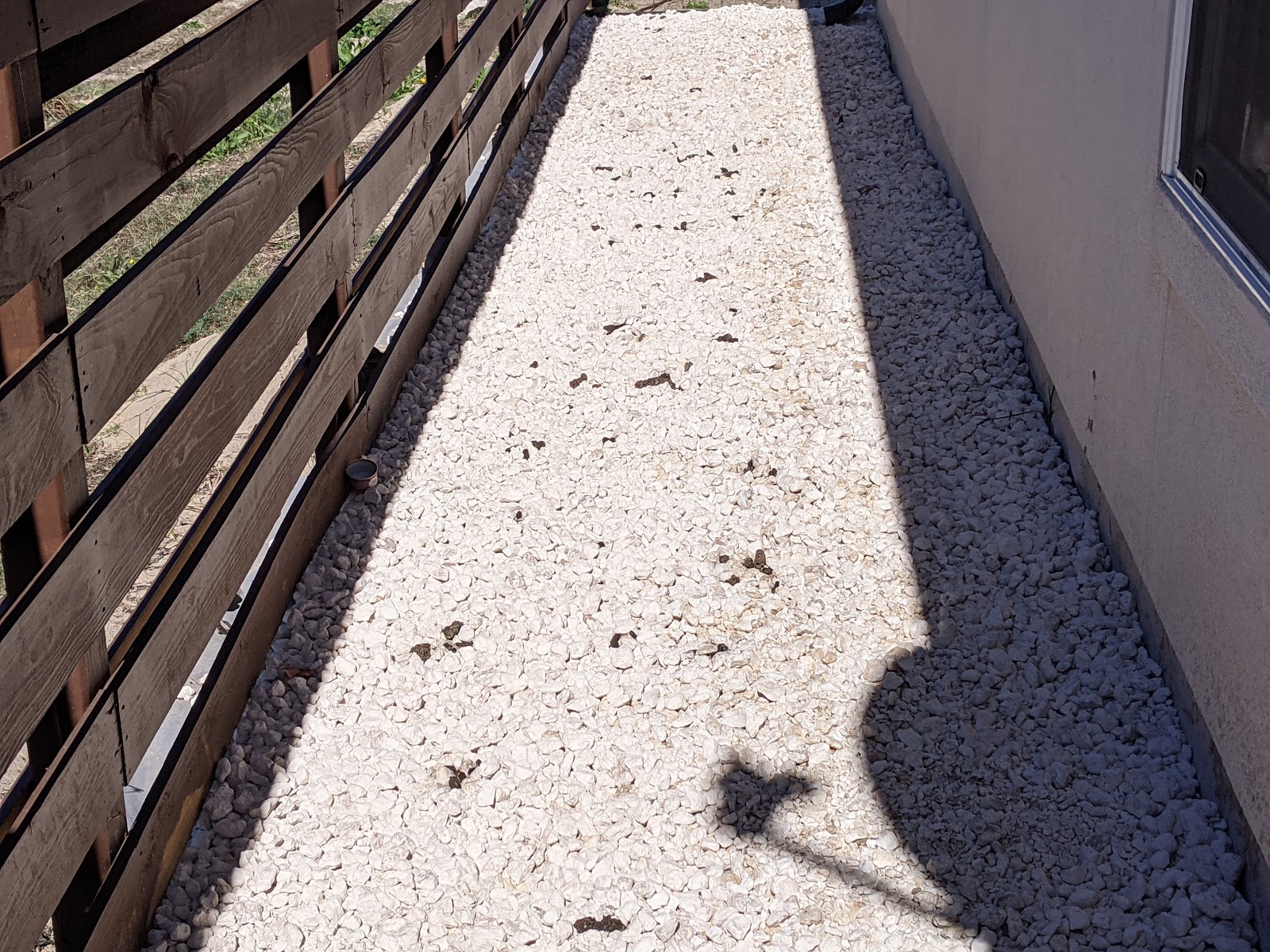 GT Wulfs Dog Poop Scooper Service - Photo 4