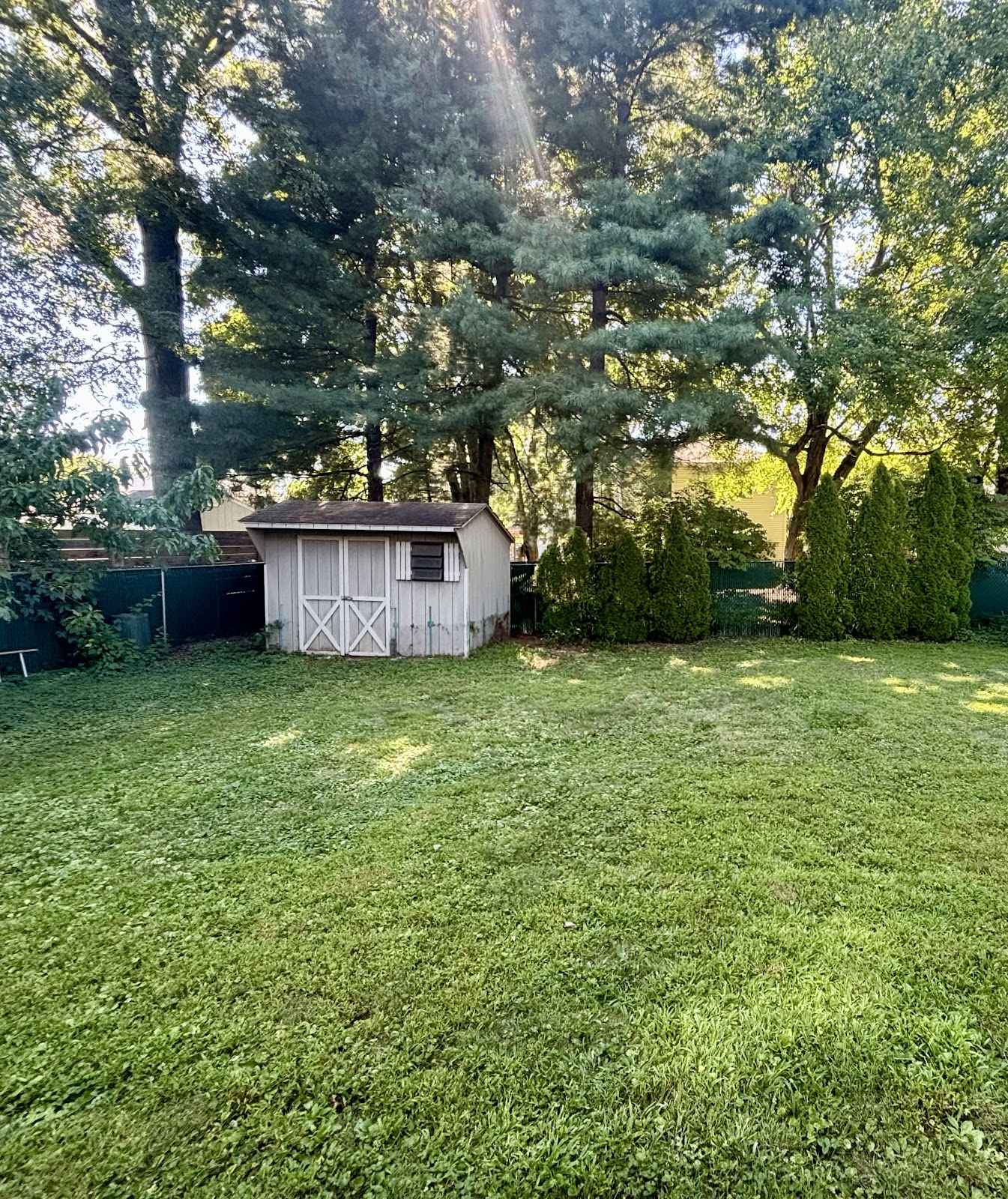 Doggy Sweep - Photo 3