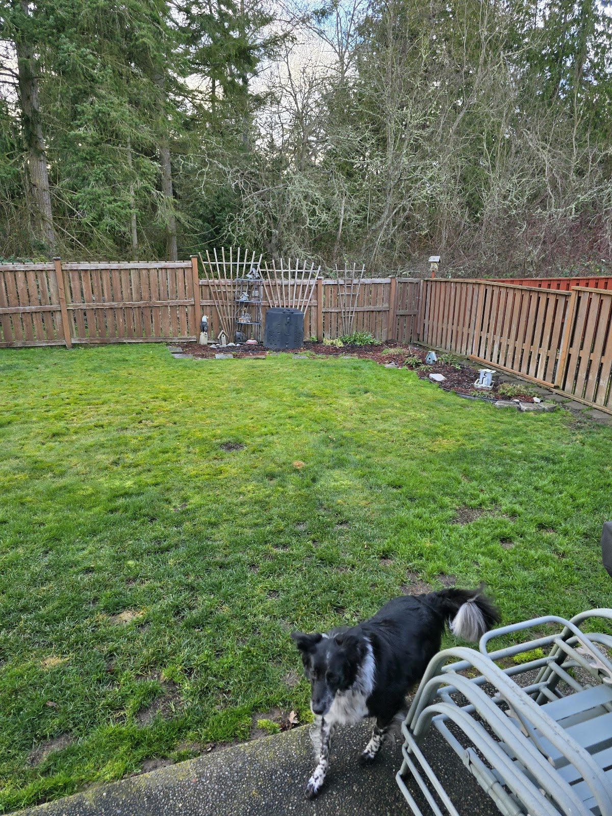 Olympic Pooper Scooper - Photo 3