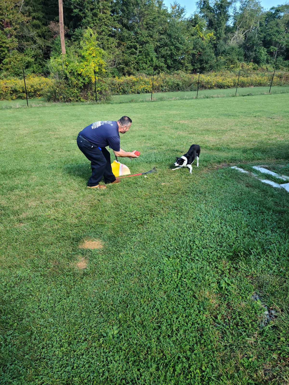 K9 Doodie Patrol - Photo 3