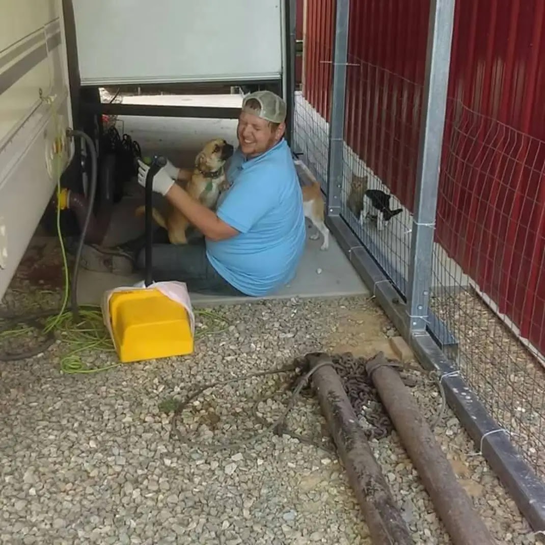 dog gone pet waste removal