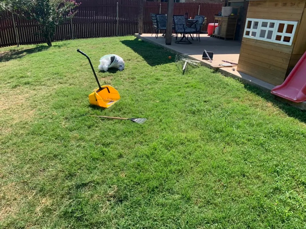 dog gone pet waste removal - Photo 2