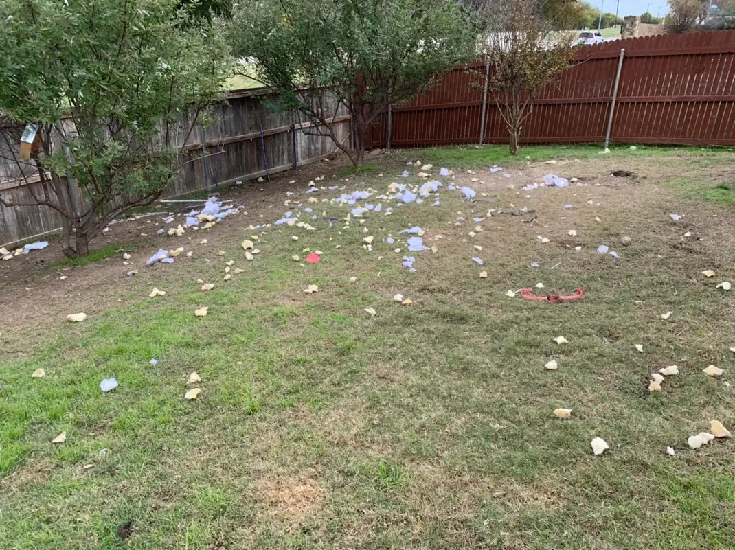 dog gone pet waste removal - Photo 4