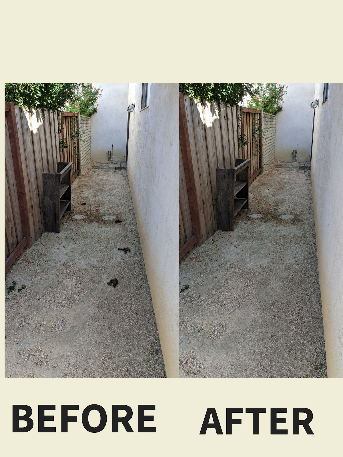 Mr. & Mrs. Scoops - Photo 4