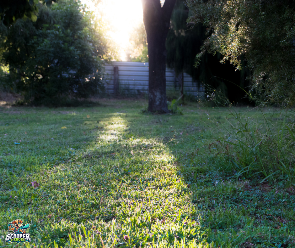 Scooper Heroes - Photo 3