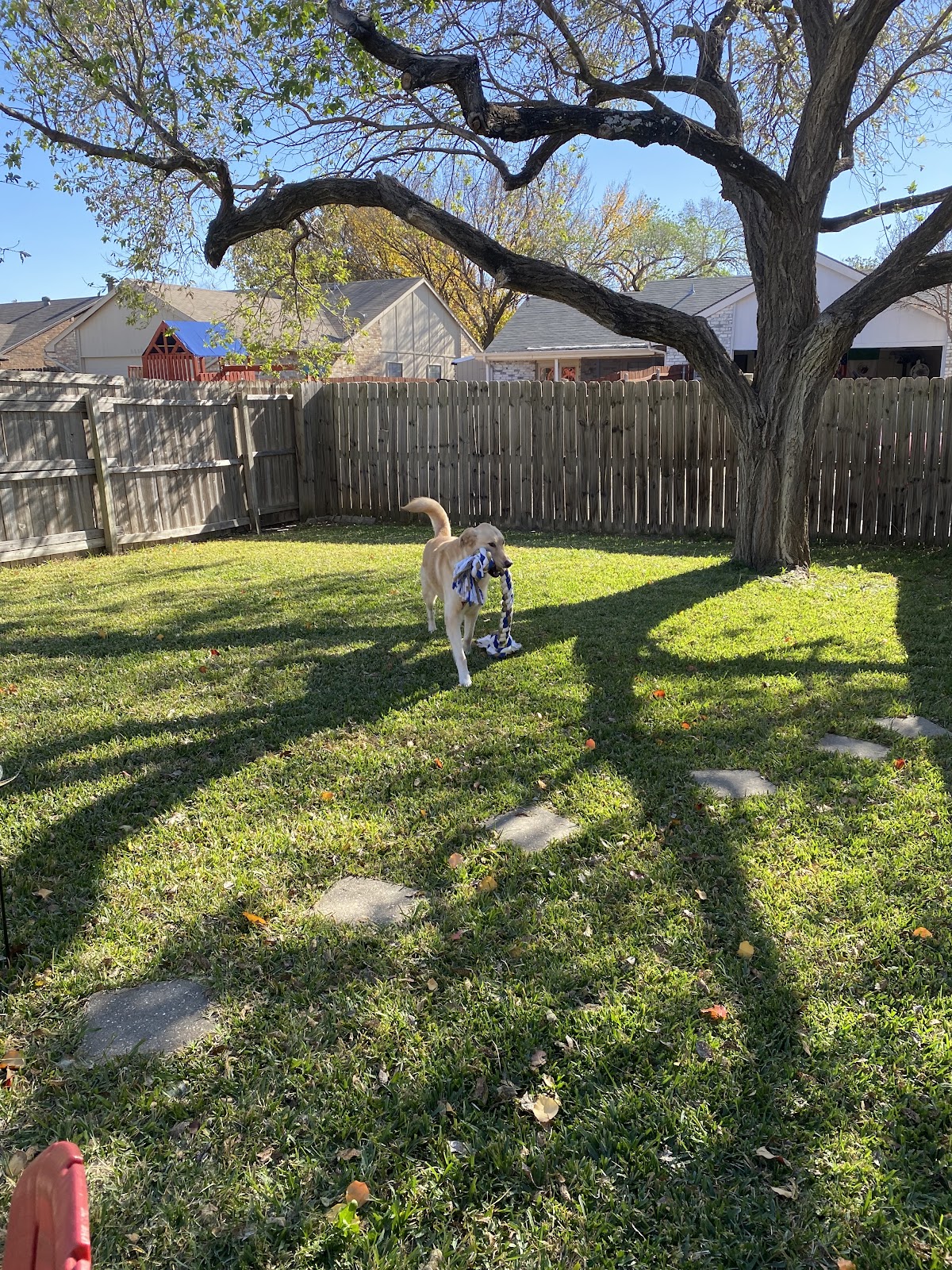 Super Scoopers - Photo 2