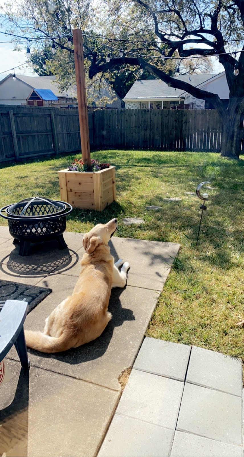 Super Scoopers - Photo 3