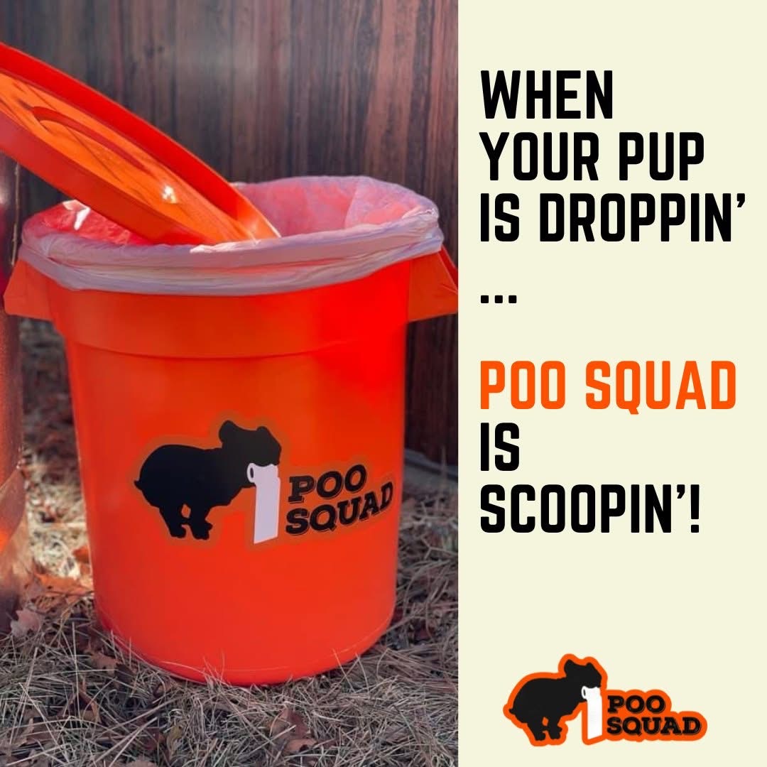 Poo Squad Pet Waste Removal - Photo 2