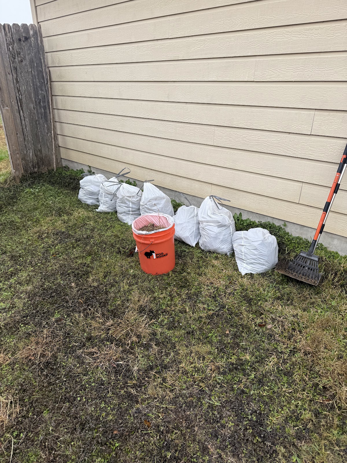 Poo Squad Pet Waste Removal - Photo 3