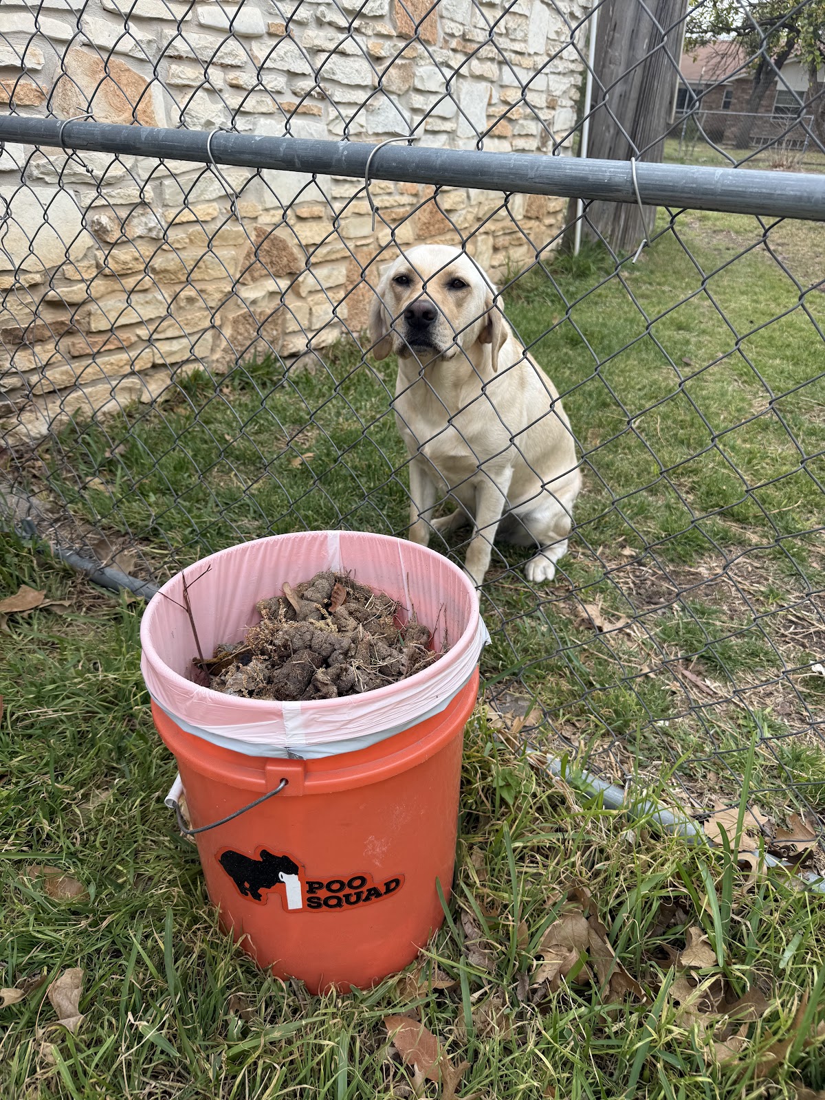 Poo Squad Pet Waste Removal - Photo 4