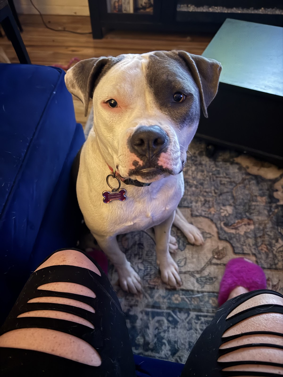 Scoop Soldiers - Photo 3