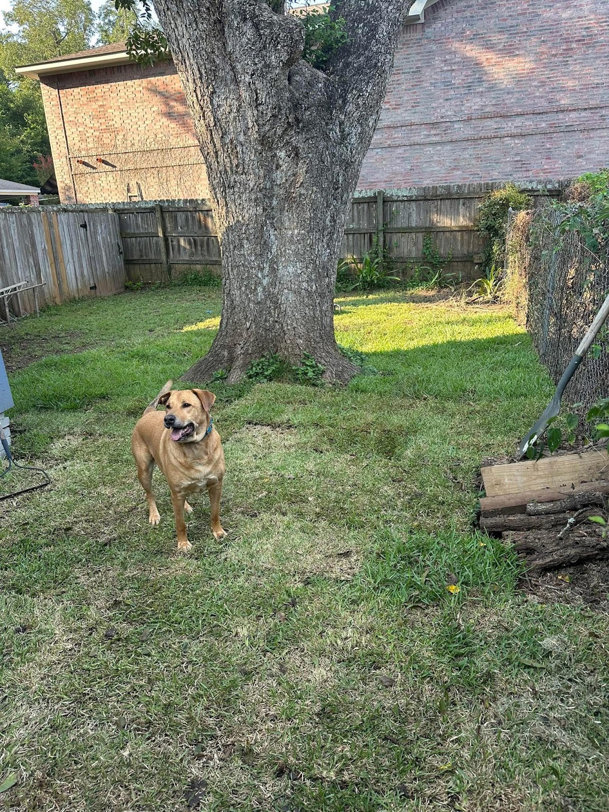 Piney Poo Krew - Photo 4