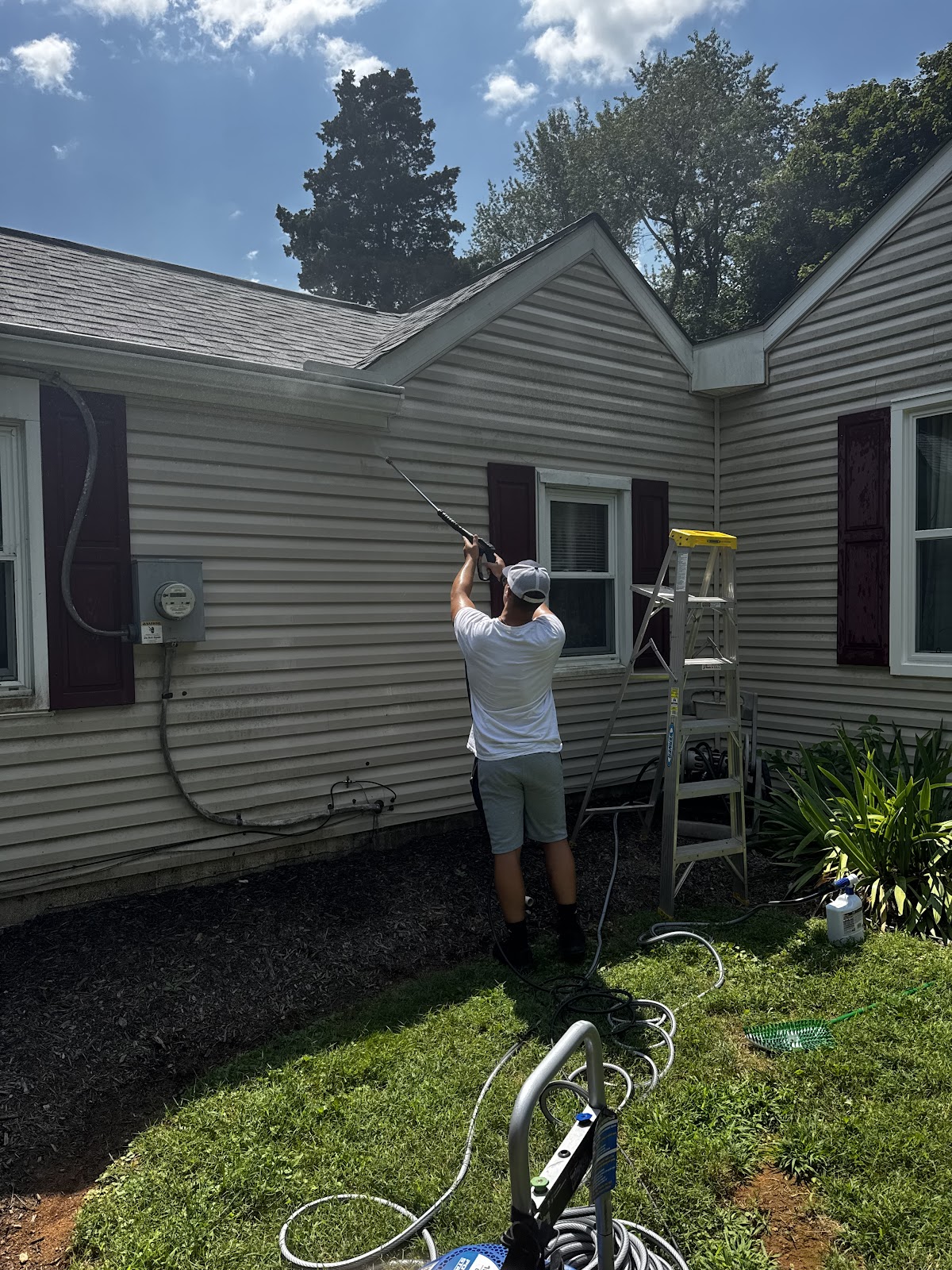 Fresh Paws Maryland - Photo 2