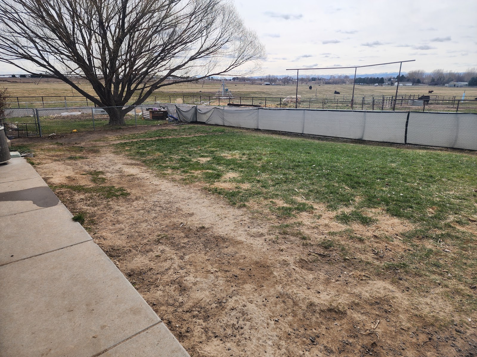Magic Valley Pet Waste Removal - Photo 2