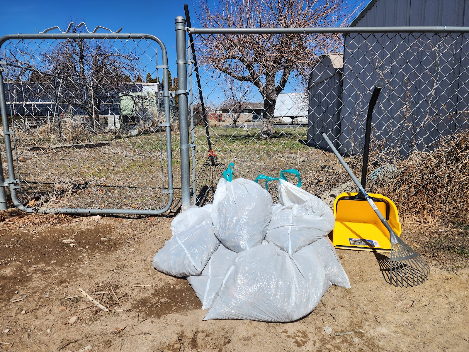 Magic Valley Pet Waste Removal - Photo 3