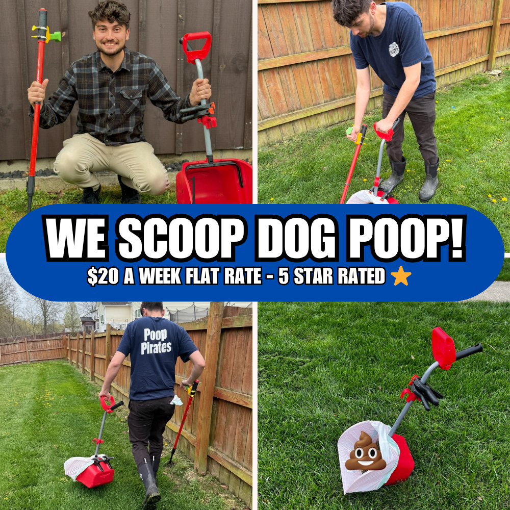 Poop Pirates Pet Waste Removal - Photo 2