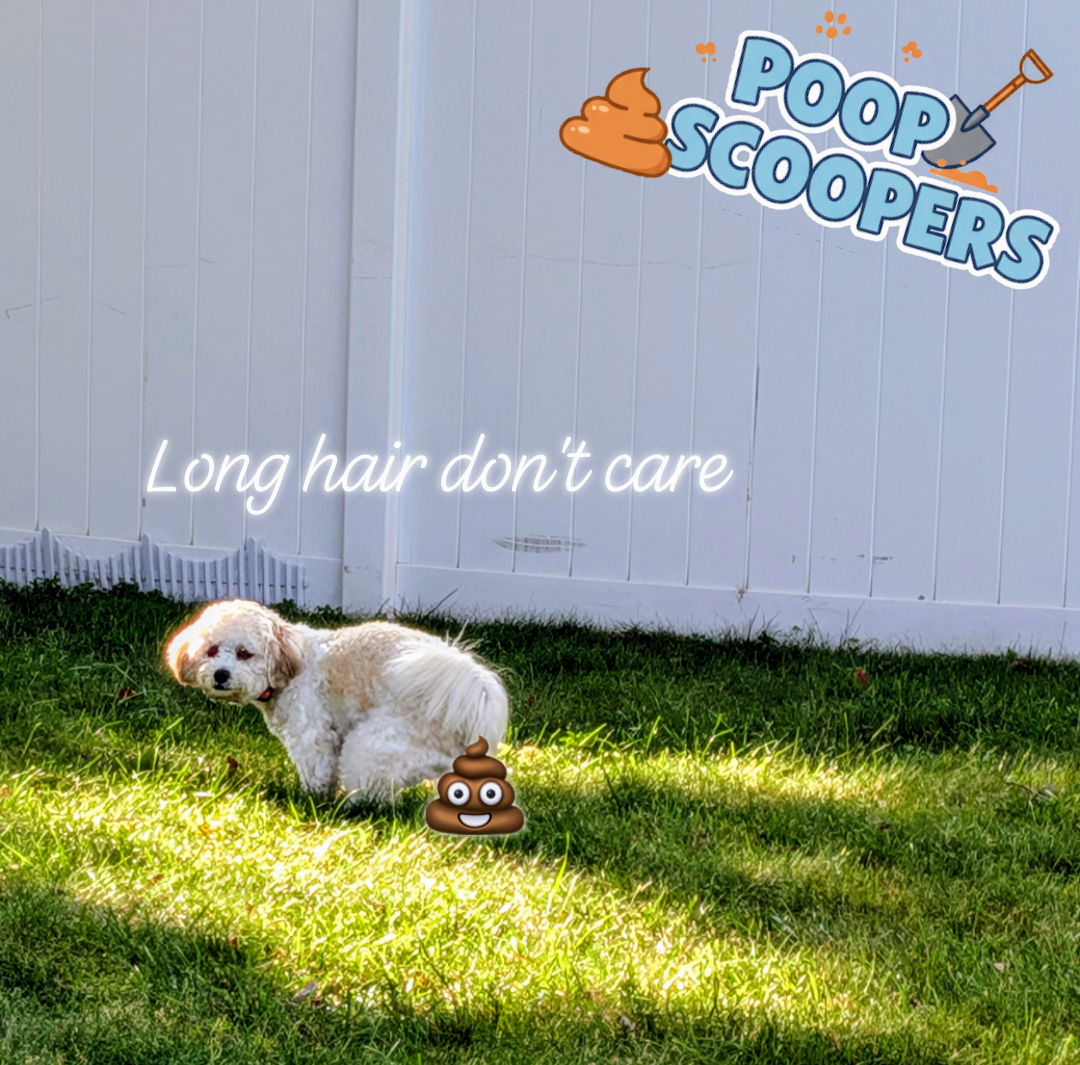 Poop Scoopers NJ - Photo 3