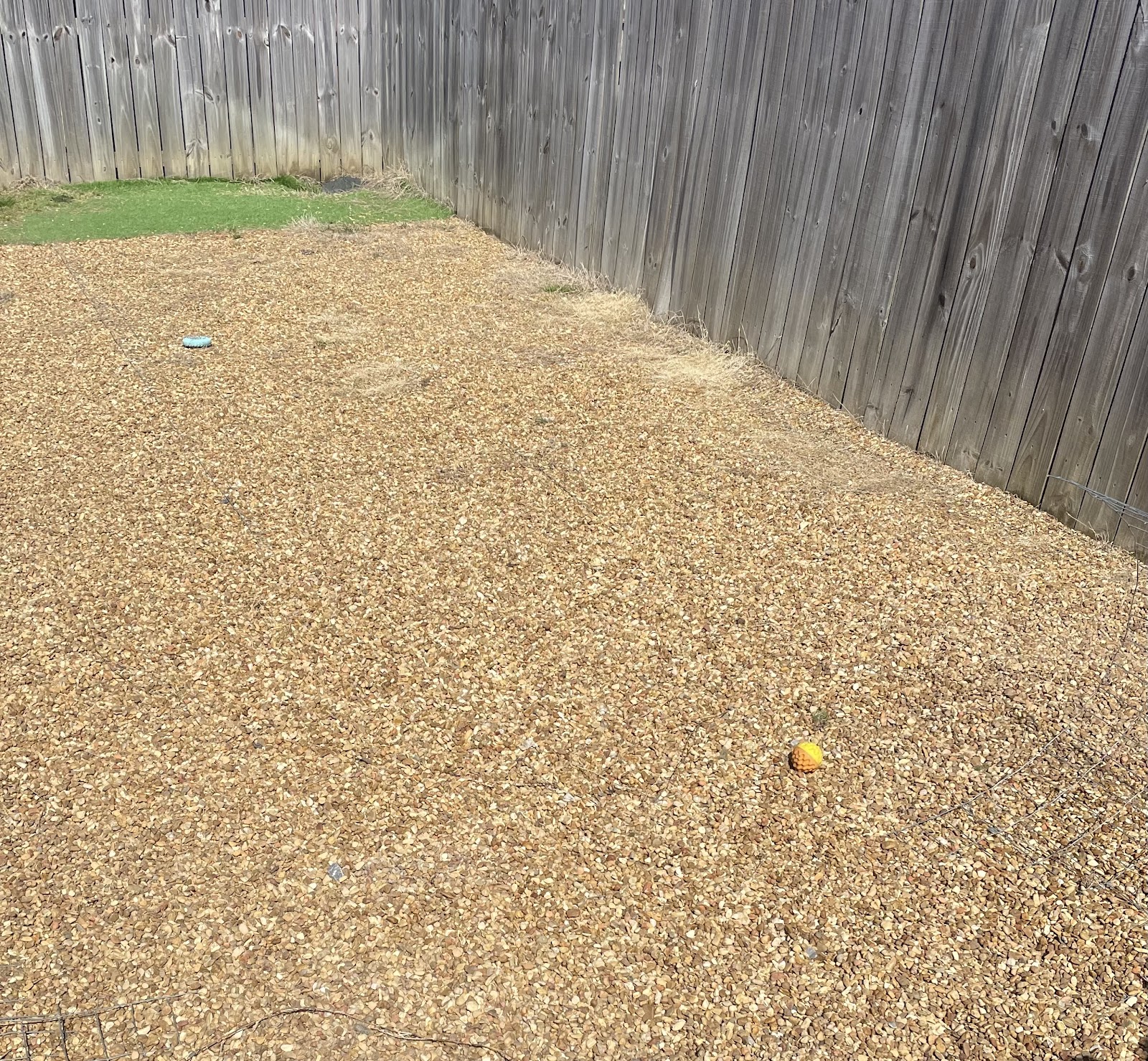 Black Warrior Pet Waste Solutions - Photo 4