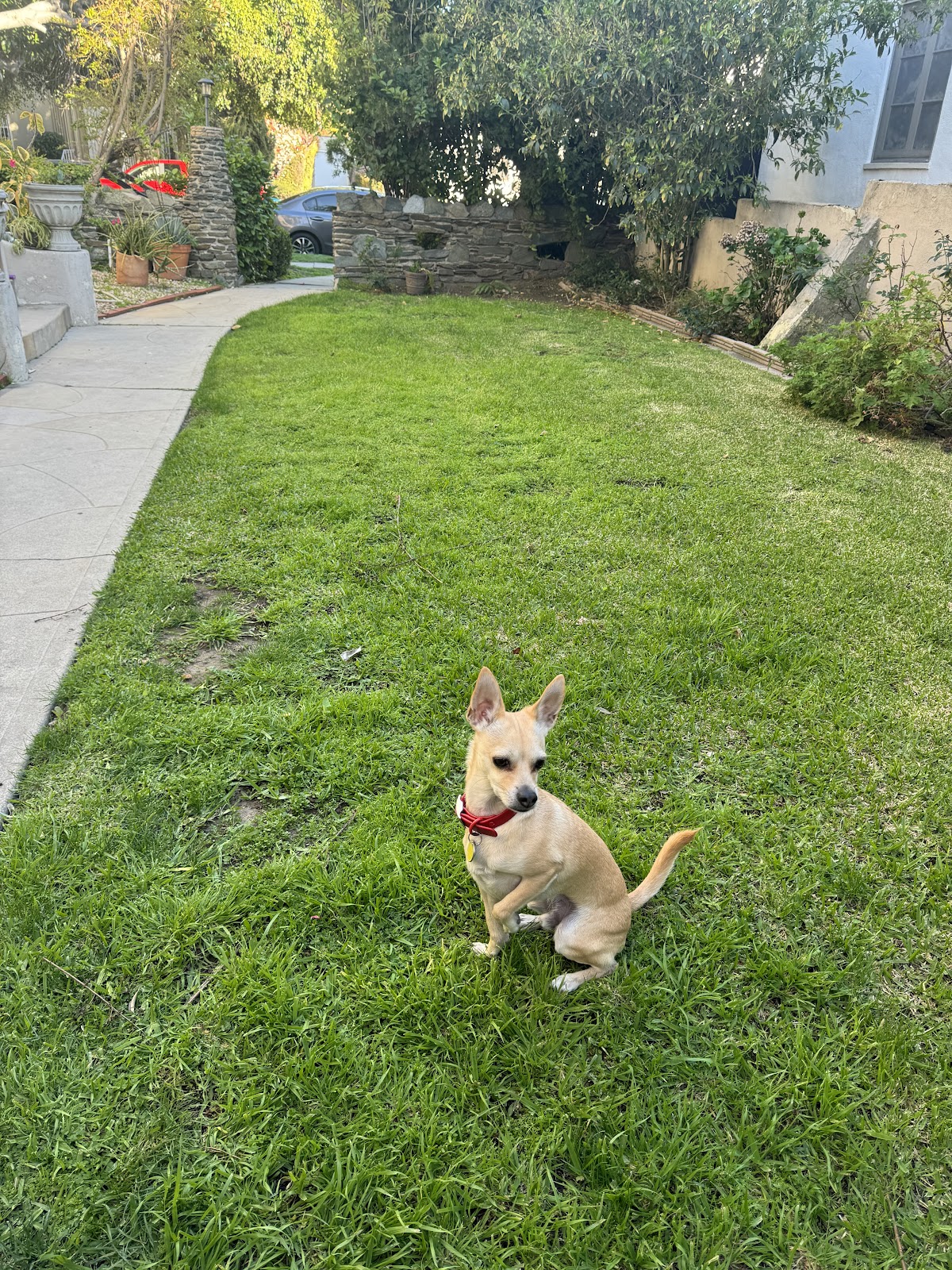 Westside Scoopers - Photo 3