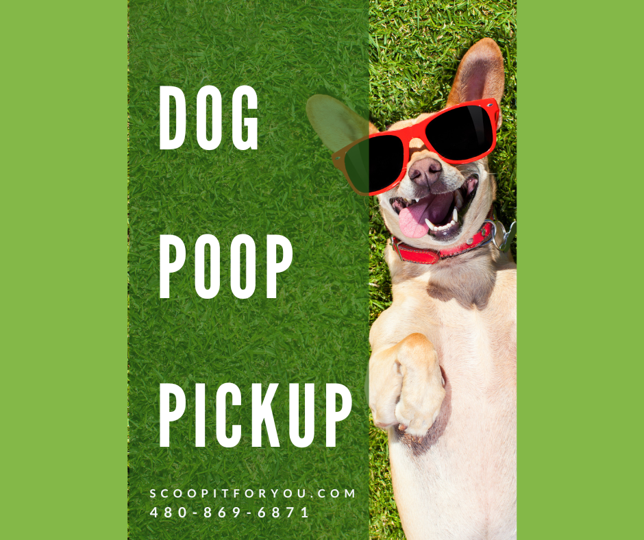 Scoop It For You - Photo 3